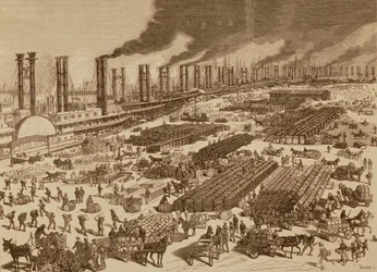 Attività Commerciale e Veduta del Molo a New Orleans nel 1880